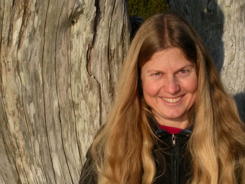 13 Jacqueline Windh Bc Booklook